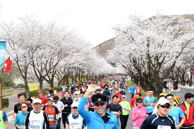 櫻花馬拉松將在韓國慶州市舉行